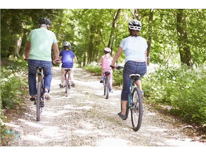 Burrill Lake NSW 2539