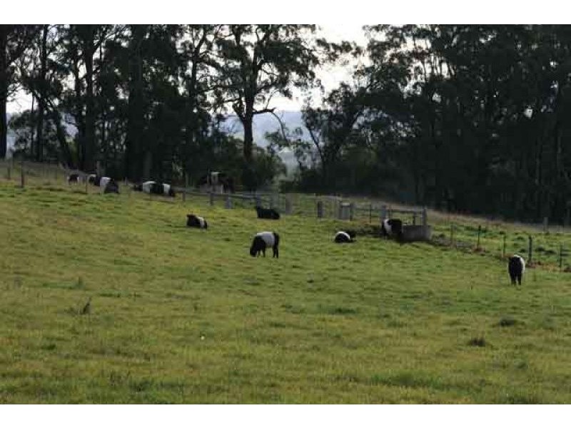 Kangaloon NSW 2576