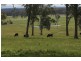 High Range NSW 2575