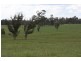 High Range NSW 2575