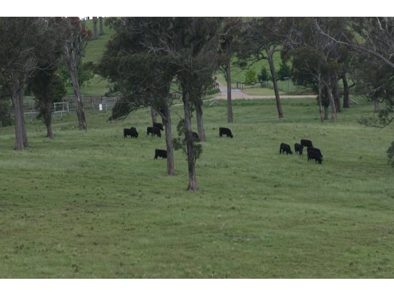 High Range NSW 2575