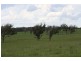 High Range NSW 2575