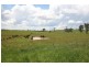High Range NSW 2575