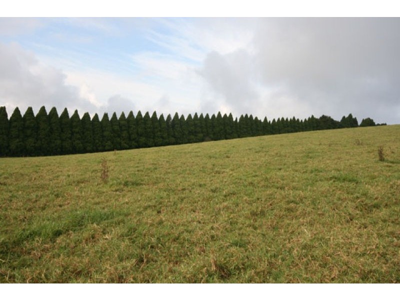 Wildes Meadow NSW 2577