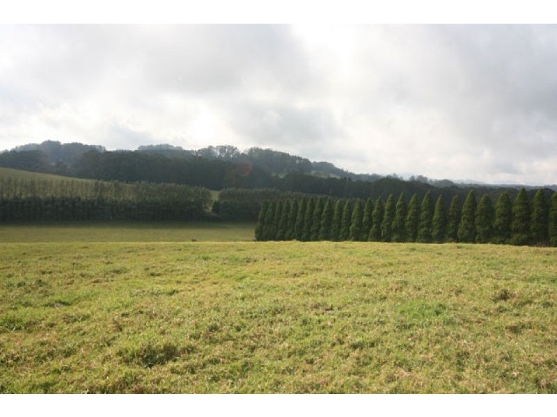 Wildes Meadow NSW 2577