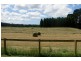 East Kangaloon NSW 2576
