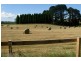 East Kangaloon NSW 2576