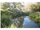 Brogo NSW 2550