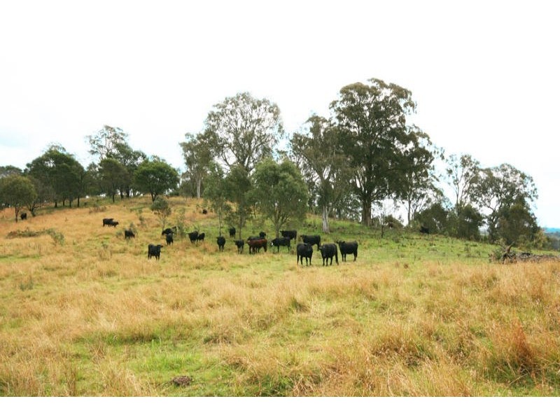Lot 3 Compton Park Estate, Berrima NSW 2577