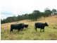Lot 3 Compton Park Estate, Berrima NSW 2577