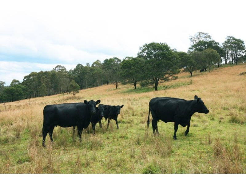 Lot 3 Compton Park Estate, Berrima NSW 2577