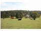 Moss Vale NSW 2577
