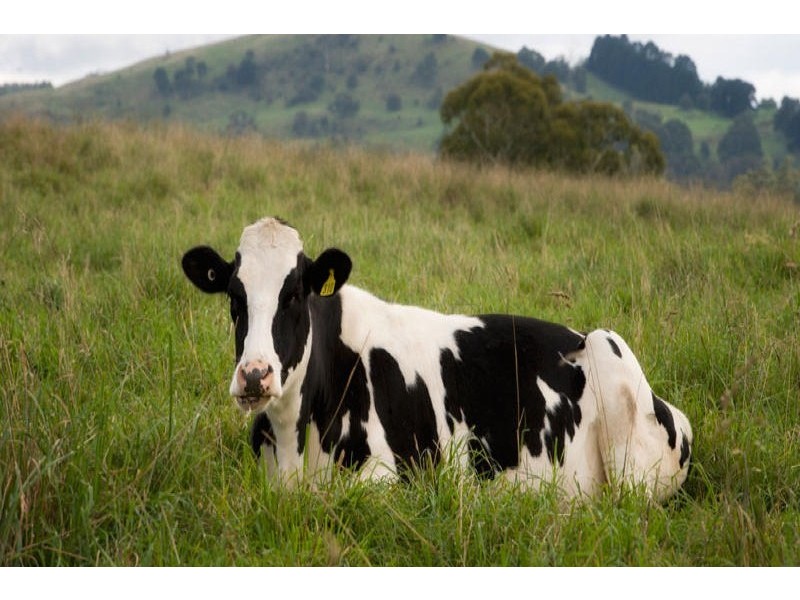 Glenquarry NSW 2576