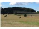 Robertson NSW 2577