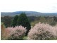 Glenquarry NSW 2576