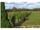 High Range NSW 2575