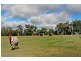 High Range NSW 2575