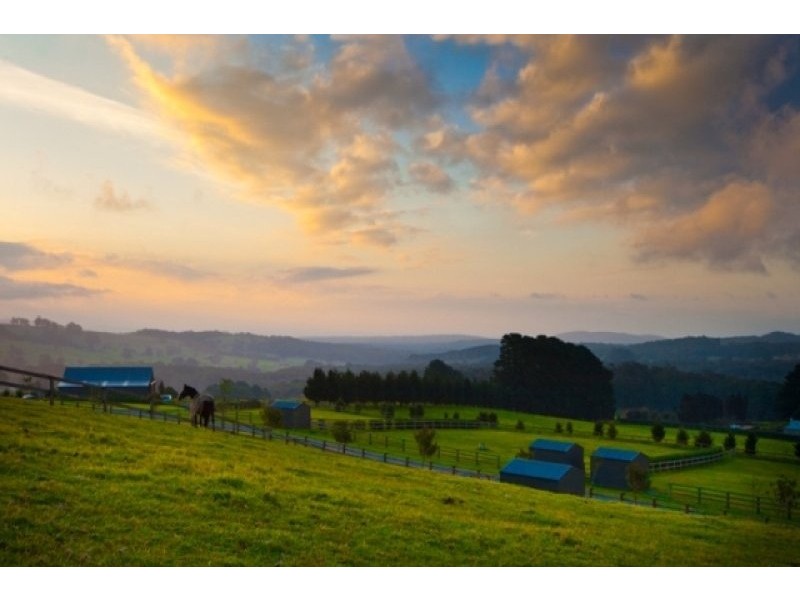 Kangaloon NSW 2576