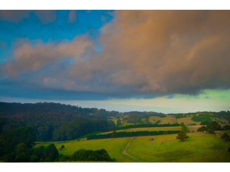 Kangaloon NSW 2576