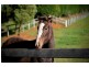 Kangaloon NSW 2576