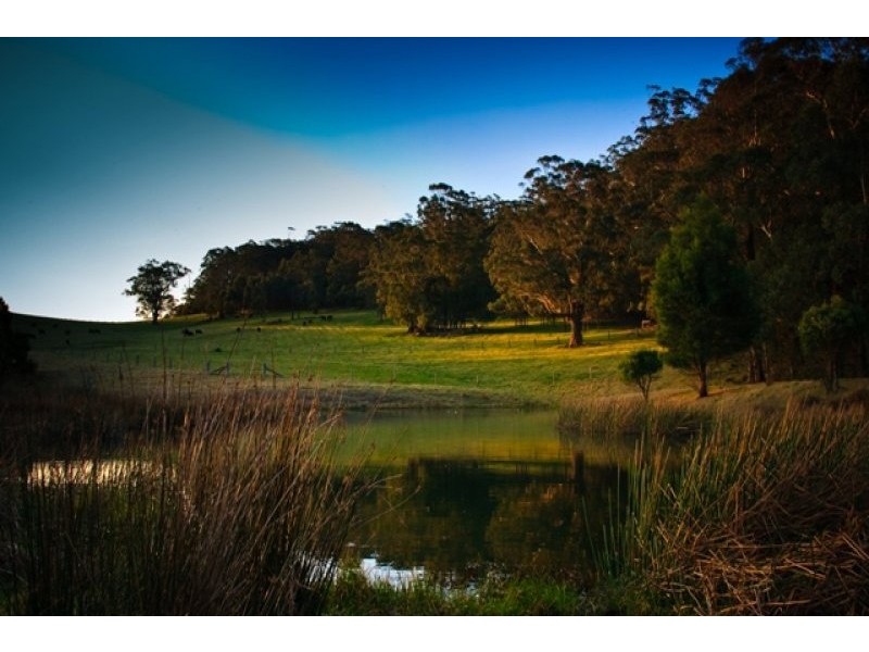 Kangaloon NSW 2576