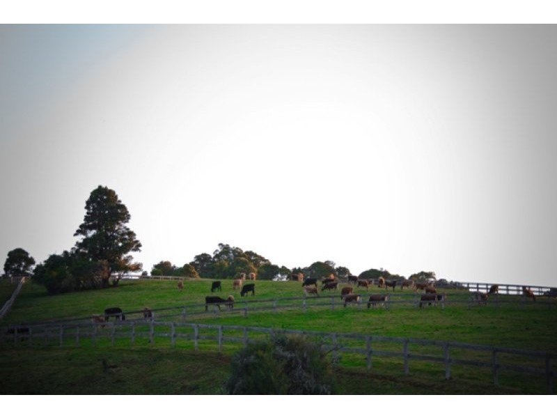 Kangaloon NSW 2576