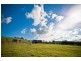 Kangaloon NSW 2576