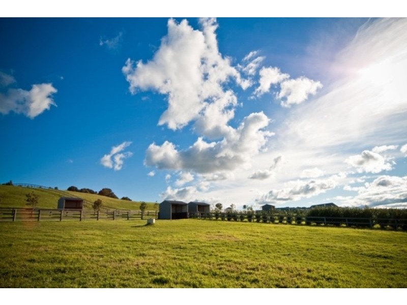 Kangaloon NSW 2576