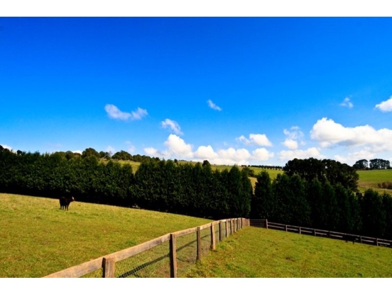 Kangaloon NSW 2576