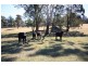 Joadja NSW 2575