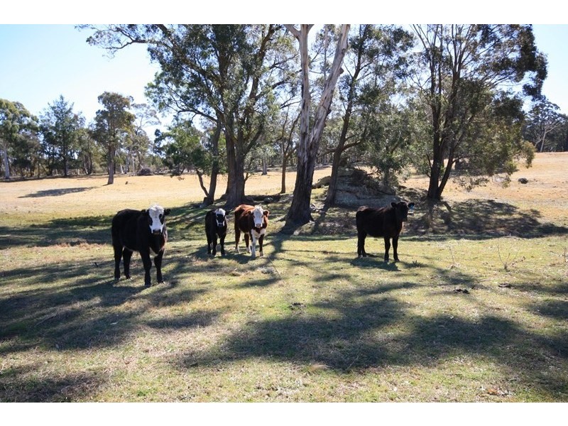 Joadja NSW 2575