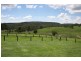 Canyonleigh NSW 2577
