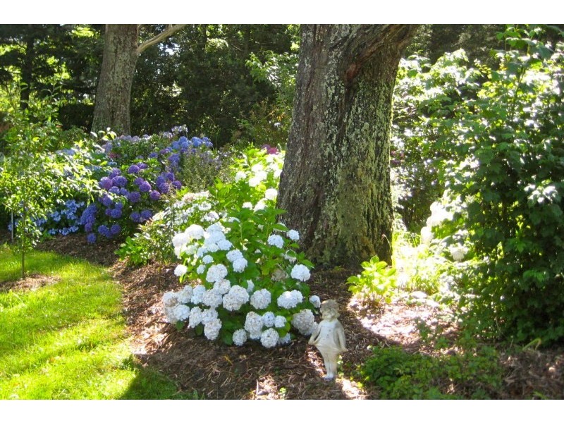 12 Yuille Avenue, Bundanoon NSW 2578