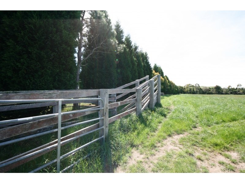 460 Wombeyan Caves Road, High Range NSW 2575