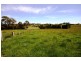 460 Wombeyan Caves Road, High Range NSW 2575