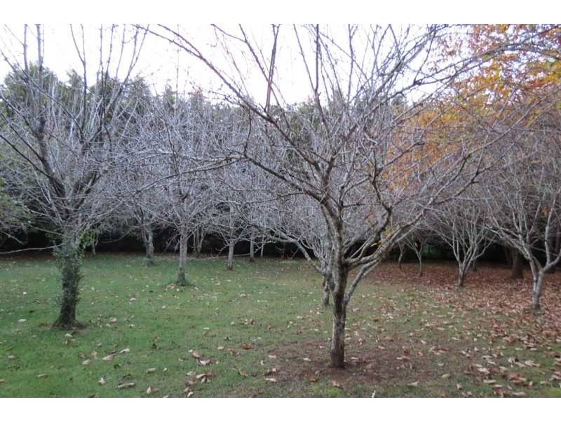 Robertson NSW 2577