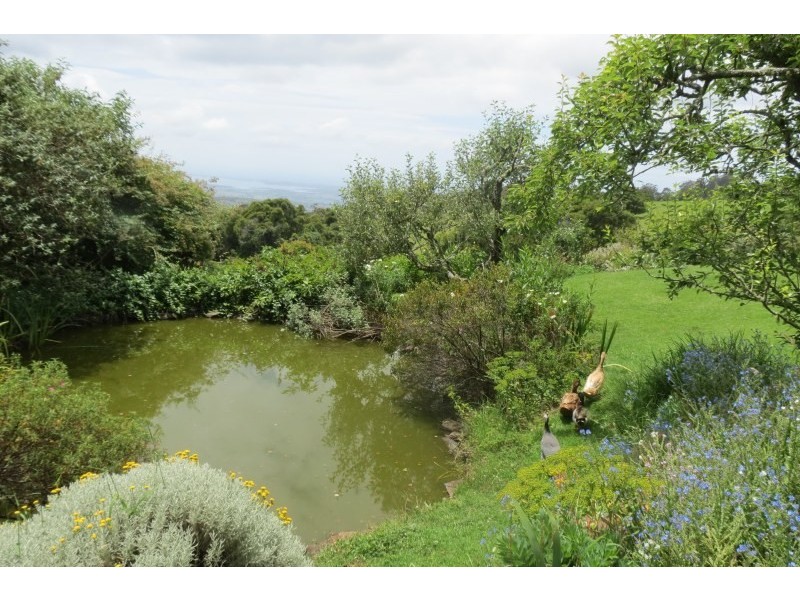 4355 Illawarra Hwy Highway, Robertson NSW 2577