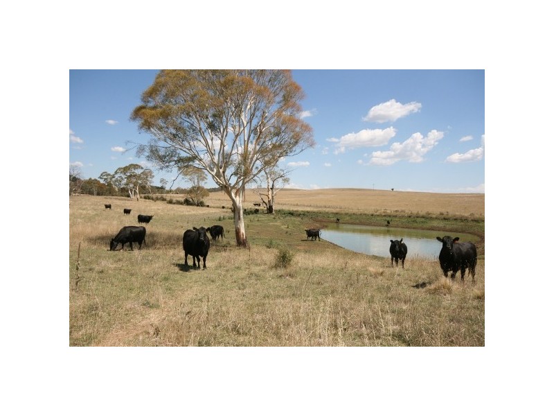 346 Inverary Road, Bungonia NSW 2580