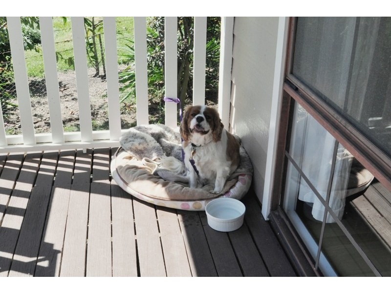 21 Apple Street, Berrima NSW 2577