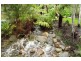 Colo Vale NSW 2575