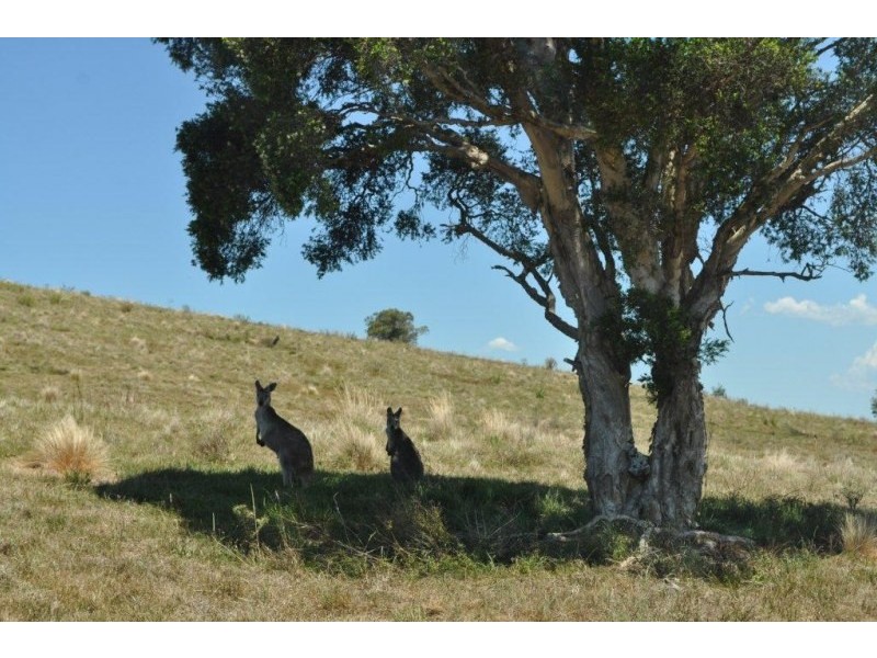 High Range NSW 2575