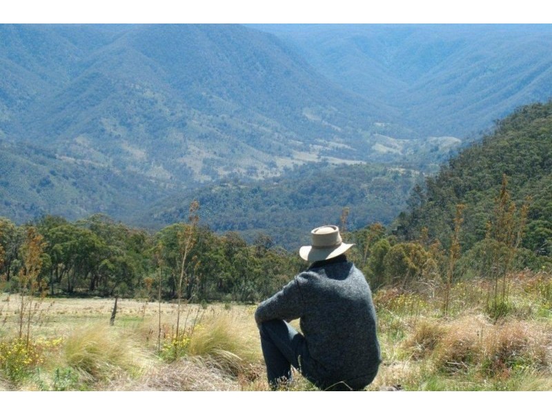 High Range NSW 2575