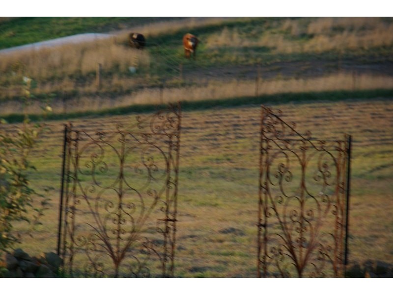 90 Mount Mindaroo Lane, High Range NSW 2575