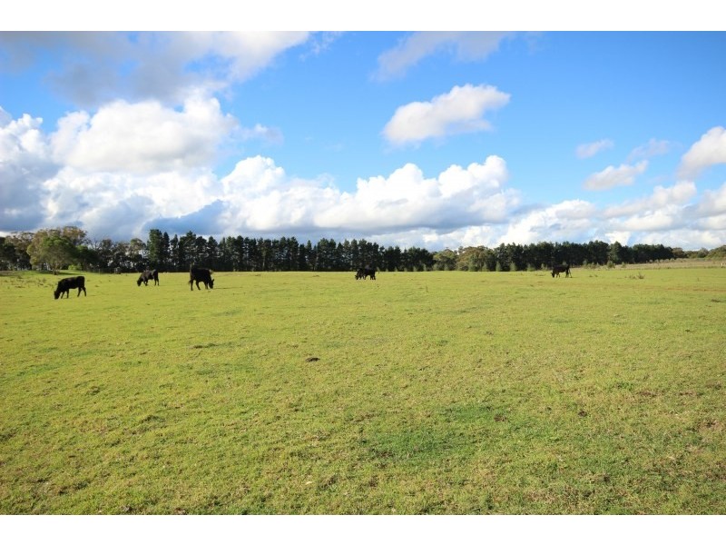 2442 Canyonleigh Road, Canyonleigh NSW 2577