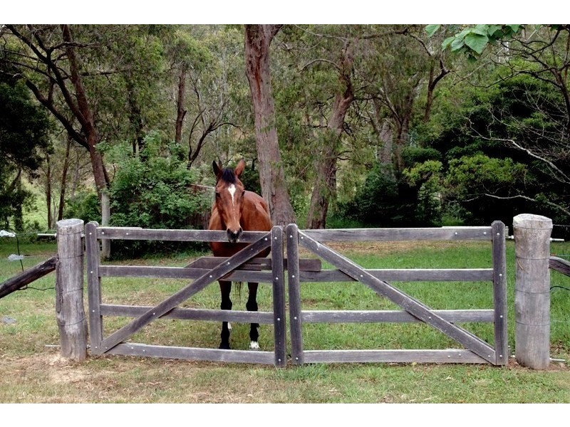 19 Merilbah Road, Bowral NSW 2576