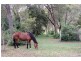 19 Merilbah Road, Bowral NSW 2576