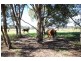 50 (Lot 4) Old Coowong Road, Canyonleigh NSW 2577