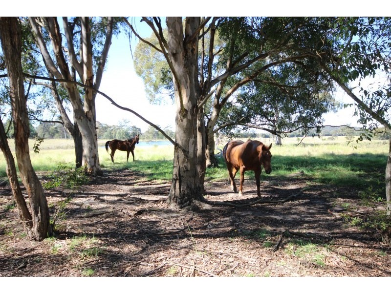 50 (Lot 4) Old Coowong Road, Canyonleigh NSW 2577