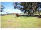 50 (Lot 4) Old Coowong Road, Canyonleigh NSW 2577