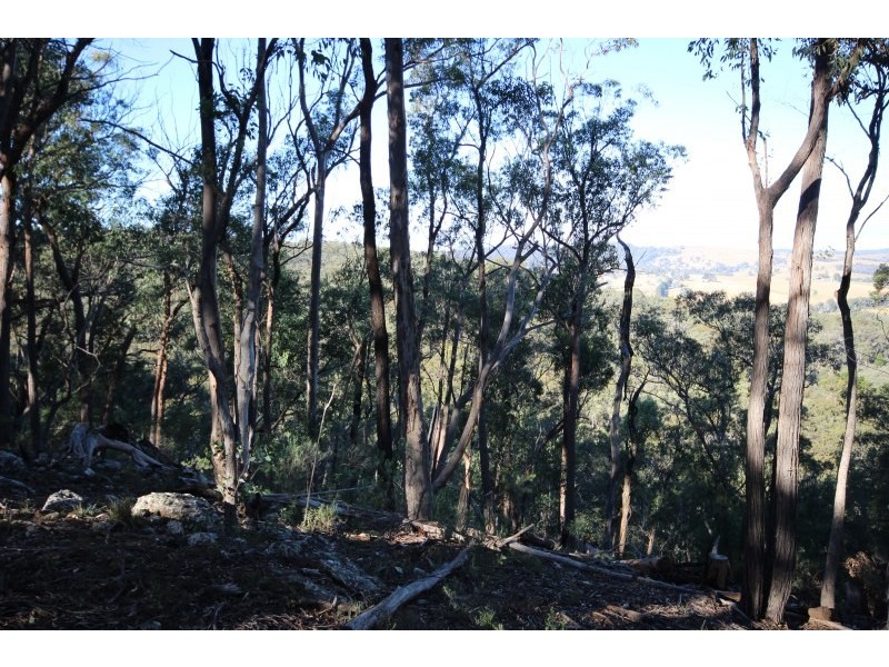 Lot 18,  Old Coowong Road, Canyonleigh NSW 2577